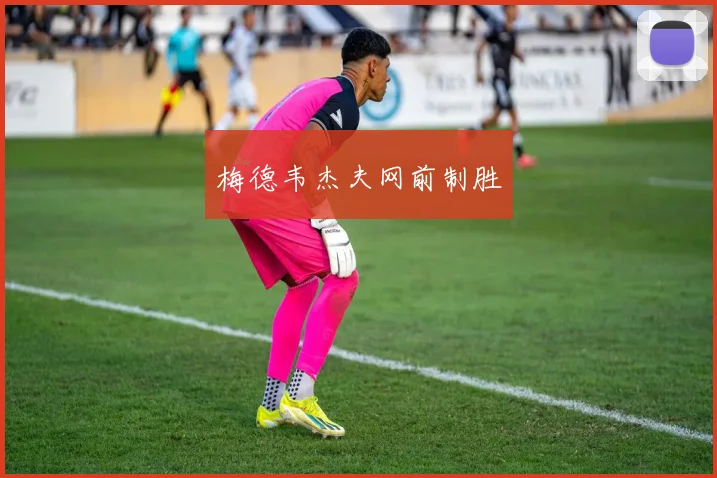 梅德韦杰夫网前制胜