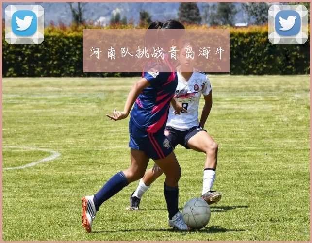 河南队挑战青岛海牛