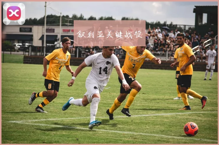 叙利亚关键战役