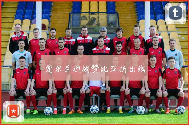爱尔兰迎战赞比亚拼出线