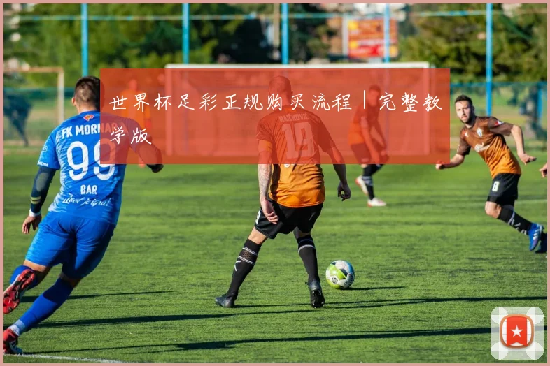 世界杯足彩正规购买流程｜完整教学版