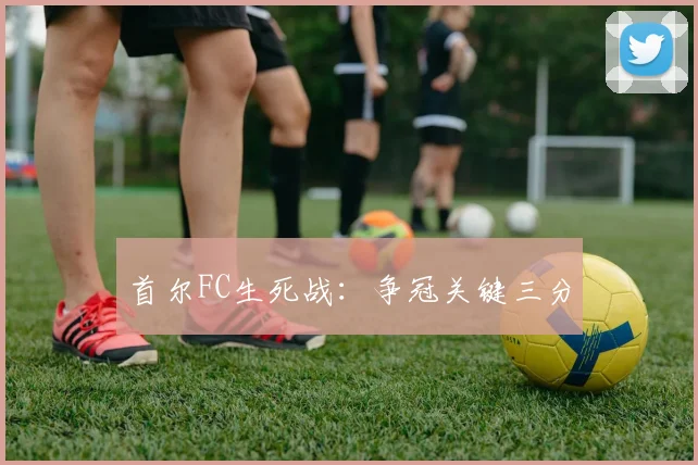 首尔FC生死战：争冠关键三分