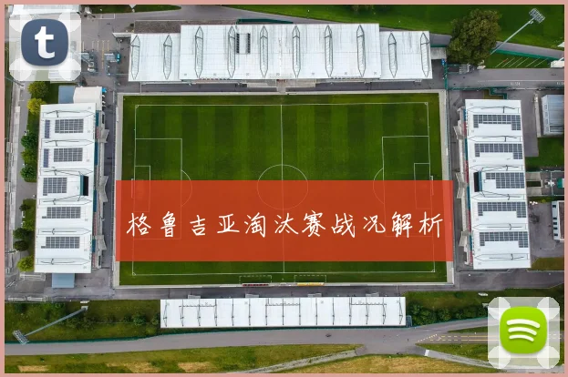 格鲁吉亚淘汰赛战况解析