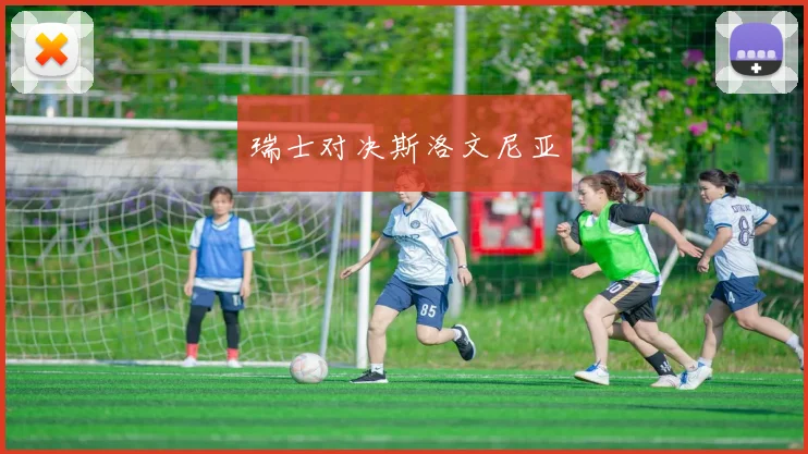 瑞士对决斯洛文尼亚