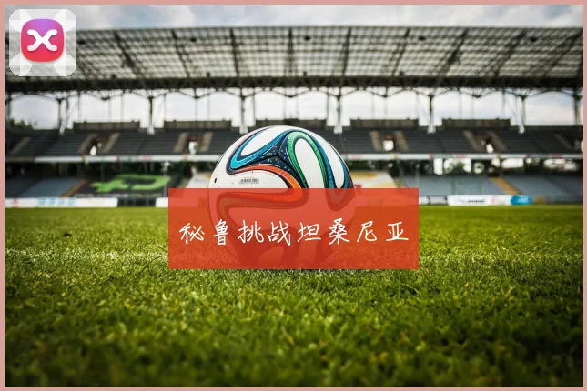 秘鲁挑战坦桑尼亚