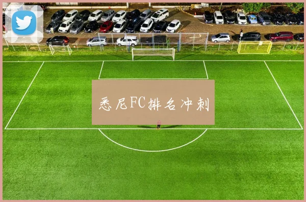 悉尼FC排名冲刺
