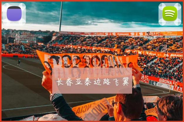 长春亚泰边路飞翼