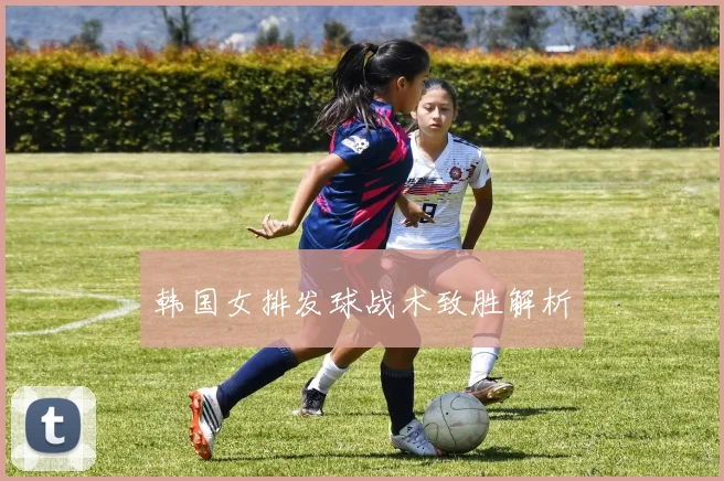 韩国女排发球战术致胜解析