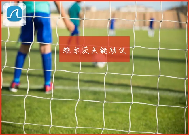 维尔茨关键助攻