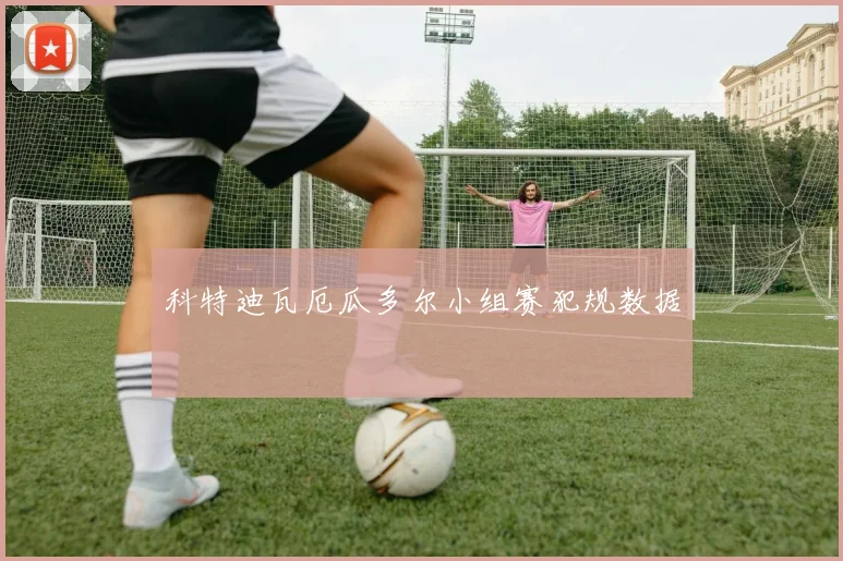 科特迪瓦厄瓜多尔小组赛犯规数据