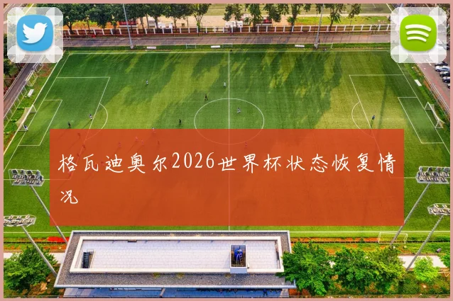 格瓦迪奥尔2026世界杯状态恢复情况