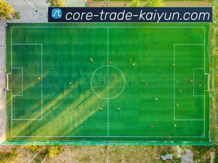 开云Kaiyun体育体育最新app服务体系