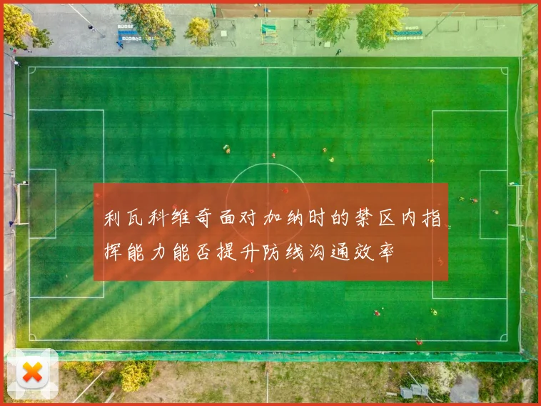 利瓦科维奇面对加纳时的禁区内指挥能力能否提升防线沟通效率