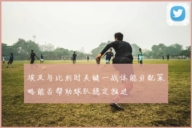 埃及与比利时关键一战体能分配策略能否帮助球队稳定推进