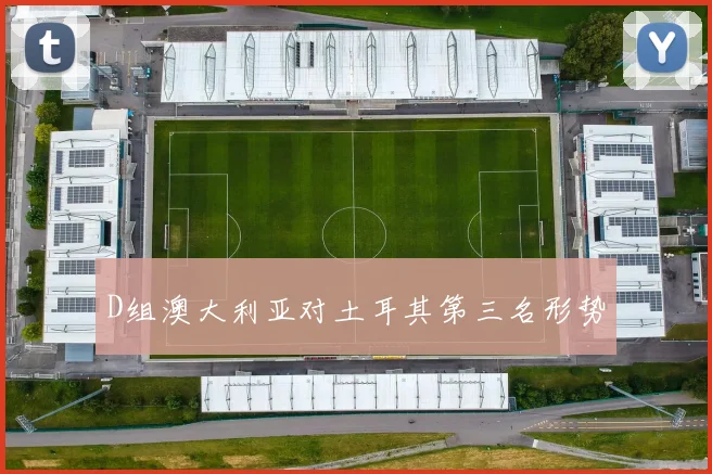 D组澳大利亚对土耳其第三名形势
