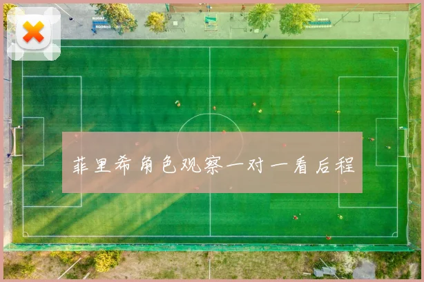 菲里希角色观察一对一看后程